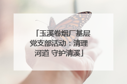 玉溪卷烟厂基层党支部活动：清理河道 守护清溪