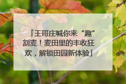 王哥庄喊你来“趣”割麦！麦田里的丰收狂欢，解锁田园新体验