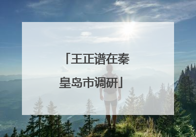 王正谱在秦皇岛市调研