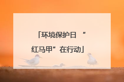 环境保护日 “红马甲”在行动
