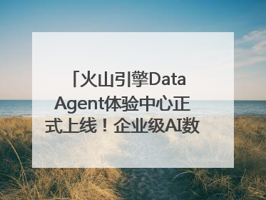 火山引擎Data Agent体验中心正式上线！企业级AI数据专家触手可及