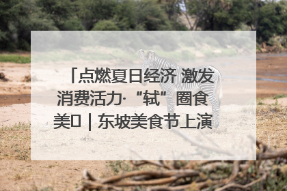 点燃夏日经济 激发消费活力·“轼”圈食美⑪｜东坡美食节上演“文化满汉全席”