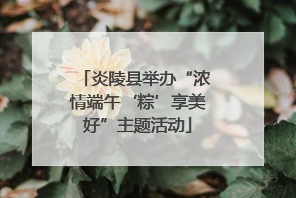 炎陵县举办“浓情端午‘粽’享美好”主题活动