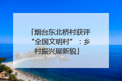 烟台东北桥村获评“全国文明村”：乡村振兴展新貌