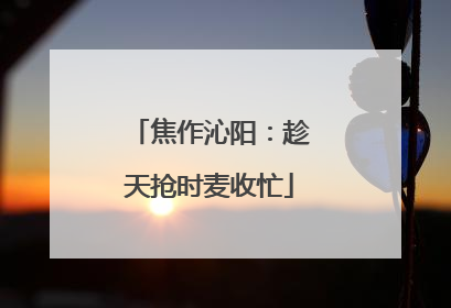 焦作沁阳：趁天抢时麦收忙