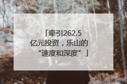 牵引262.5亿元投资，乐山的“速度和深度”