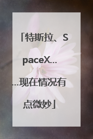 特斯拉、SpaceX……现在情况有点微妙