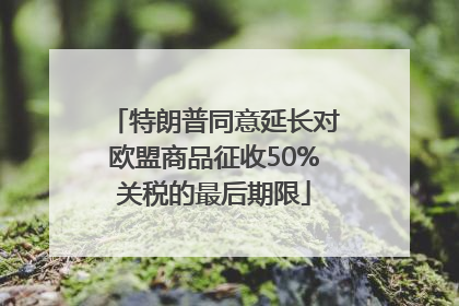 特朗普同意延长对欧盟商品征收50%关税的最后期限