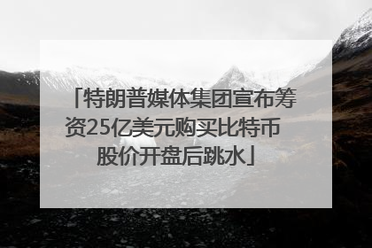 特朗普媒体集团宣布筹资25亿美元购买比特币 股价开盘后跳水