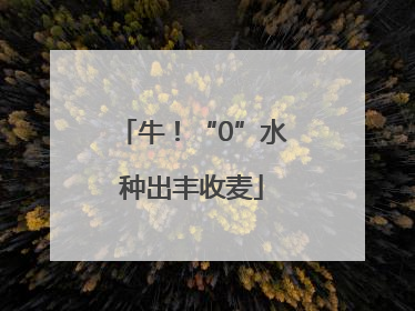 牛！“0”水种出丰收麦
