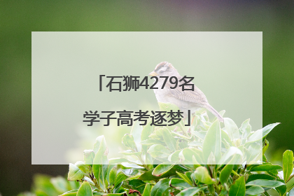 石狮4279名学子高考逐梦