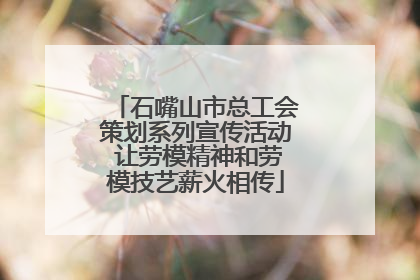石嘴山市总工会策划系列宣传活动 让劳模精神和劳模技艺薪火相传