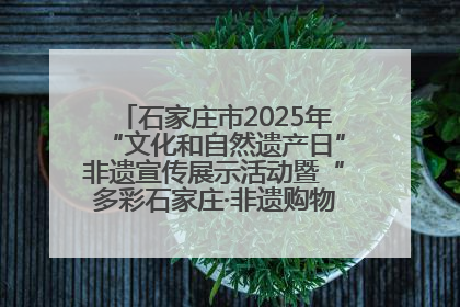 石家庄市2025年“文化和自然遗产日”非遗宣传展示活动暨“多彩石家庄·非遗购物节”倒计时1天