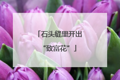 石头缝里开出“致富花”