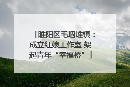 睢阳区毛堌堆镇：成立红娘工作室 架起青年“幸福桥”