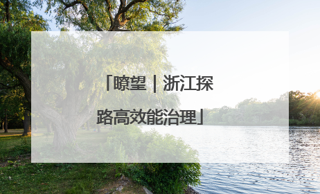 瞭望｜浙江探路高效能治理
