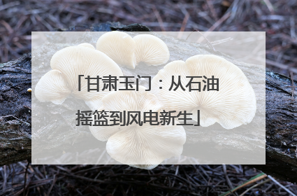 甘肃玉门：从石油摇篮到风电新生