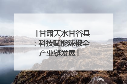 甘肃天水甘谷县：科技赋能辣椒全产业链发展