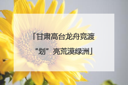 甘肃高台龙舟竞渡“划”亮荒漠绿洲