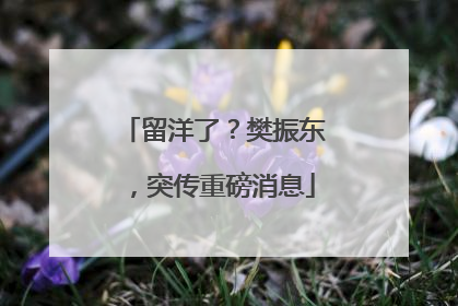 留洋了？樊振东，突传重磅消息