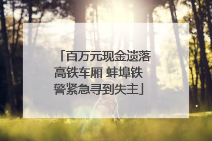 百万元现金遗落高铁车厢 蚌埠铁警紧急寻到失主