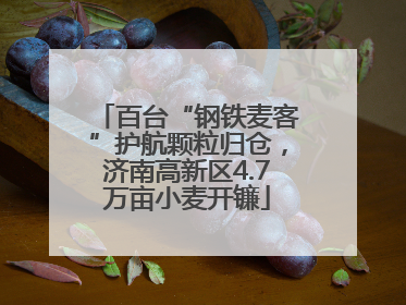 百台“钢铁麦客”护航颗粒归仓，济南高新区4.7万亩小麦开镰