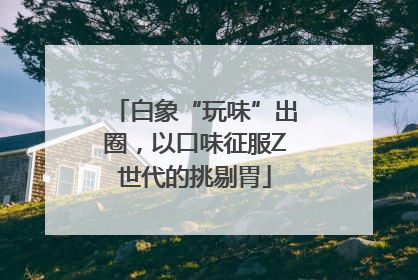 白象“玩味”出圈，以口味征服Z世代的挑剔胃