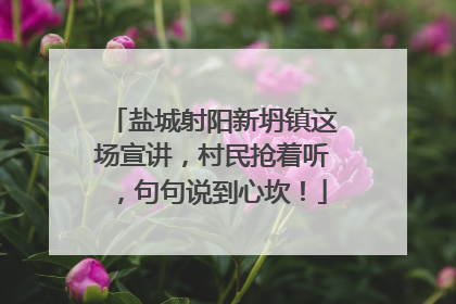 盐城射阳新坍镇这场宣讲，村民抢着听，句句说到心坎！
