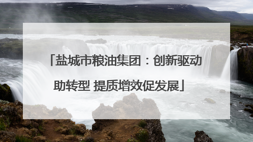盐城市粮油集团：创新驱动助转型 提质增效促发展