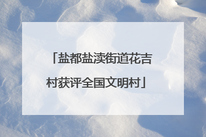 盐都盐渎街道花吉村获评全国文明村