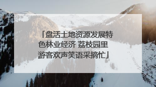 盘活土地资源发展特色林业经济 荔枝园里游客欢声笑语采摘忙