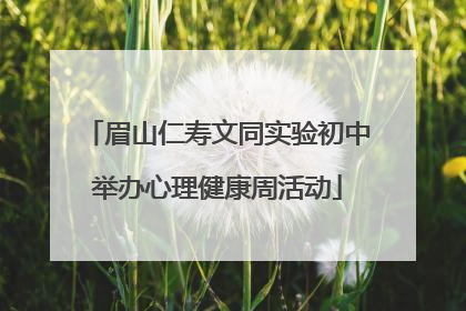 眉山仁寿文同实验初中举办心理健康周活动