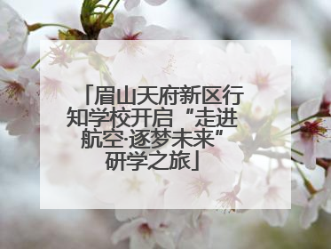 眉山天府新区行知学校开启“走进航空·逐梦未来”研学之旅