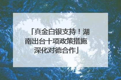 真金白银支持！湖南出台十项政策措施深化对德合作
