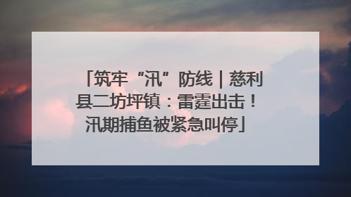 筑牢“汛”防线｜慈利县二坊坪镇：雷霆出击！汛期捕鱼被紧急叫停