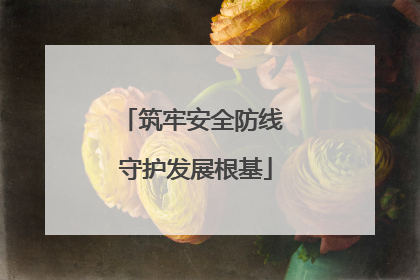 筑牢安全防线 守护发展根基