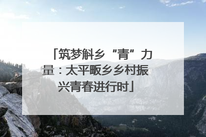 筑梦斛乡“青”力量：太平畈乡乡村振兴青春进行时