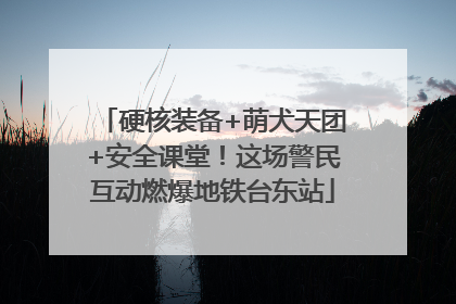 硬核装备+萌犬天团+安全课堂！这场警民互动燃爆地铁台东站