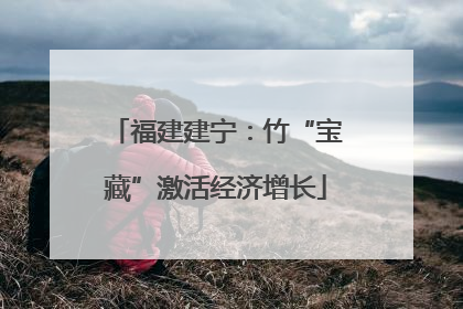 福建建宁：竹“宝藏”激活经济增长