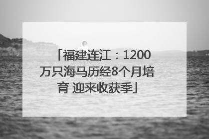 福建连江：1200万只海马历经8个月培育 迎来收获季