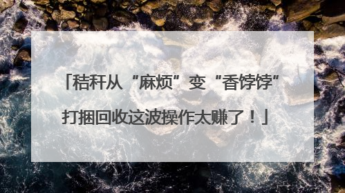 秸秆从“麻烦”变“香饽饽” 打捆回收这波操作太赚了！