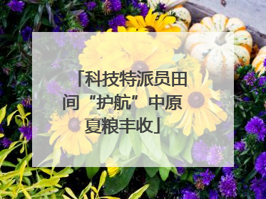 科技特派员田间“护航”中原夏粮丰收