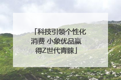 科技引领个性化消费 小象优品赢得Z世代青睐