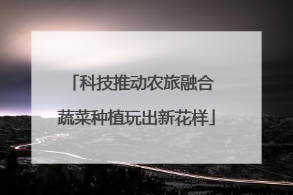 科技推动农旅融合 蔬菜种植玩出新花样