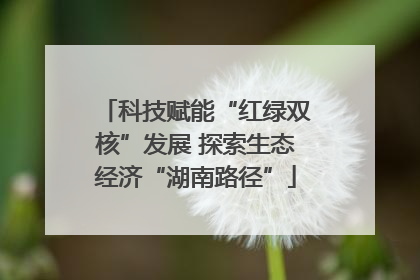 科技赋能“红绿双核”发展 探索生态经济“湖南路径”