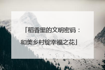 稻香里的文明密码：和美乡村绽幸福之花