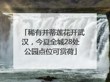 稀有并蒂莲花开武汉，今夏全城28处公园点位可赏荷