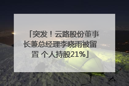 突发！云路股份董事长兼总经理李晓雨被留置 个人持股21%