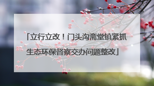 立行立改！门头沟斋堂镇紧抓生态环保督察交办问题整改