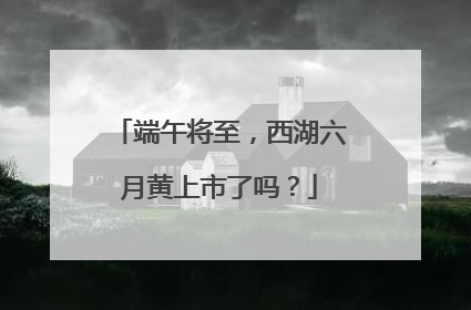端午将至，西湖六月黄上市了吗？